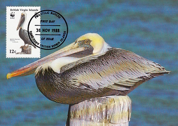 British Virgin Islands 1988 Maxicard Sc #622 12c Brown pelican WWF
