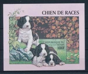 [30837] Benin 1998 Animals Dogs Springer Spaniel MNH Sheet