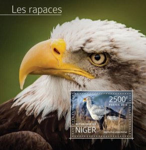 Birds of Prey Stamps Niger 2014 MNH Raptors Secretarybird Eagles 1v S/S