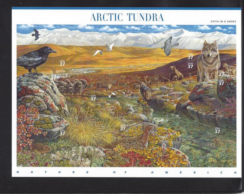 United States, 3802, 37c Arctic Tundra Sht(10),**MNH**