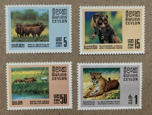 Ceylon 1970 Wildlife, MNH. Scott 439-442, CV $6.00. SG 561-564. Leopard, loris