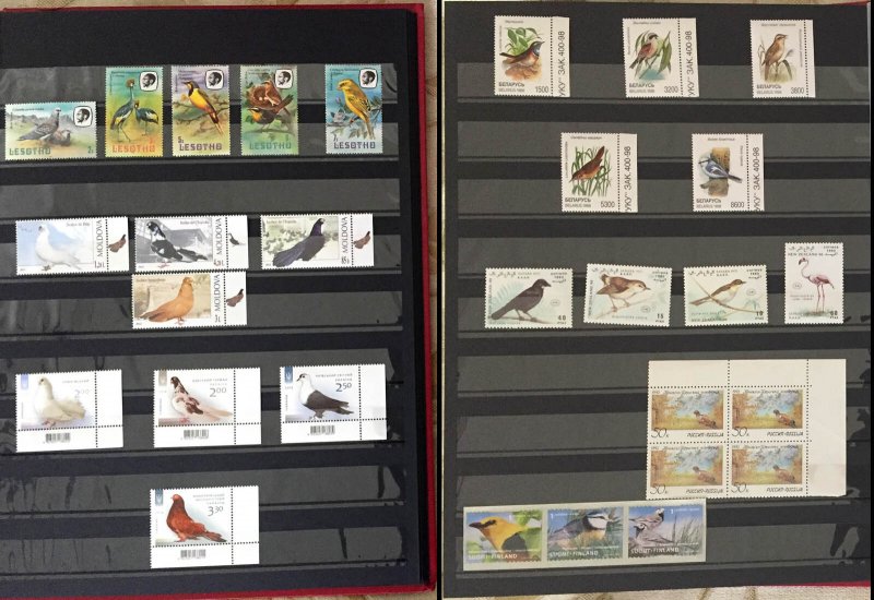 COLLECTION OF BIRDS MNH STAMPS FROM DIFF. COUNTRIES IN AN ALBUM - 210 STAMPS