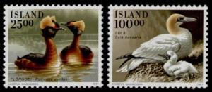 Iceland 721-2 MNH Birds