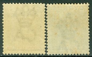 CYPRUS : 1882-86. SG #21. 2 VF, MOGLH stamps, with one being Scarce pale shade.