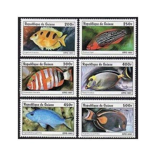 Guinea 1403-1408,1409 sheet,MNH. Fish 1997.