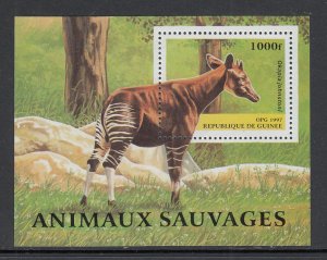 Guinea 1395 Animal Souvenir Sheet MNH VF