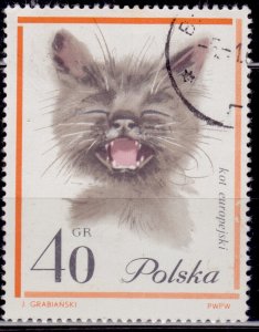 Poland 1964, European Cats, 40gr, sc#1217, cancelled