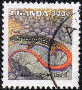 Uganda 1550 - Used - 300sh Armadillo Girdled Lizard (1998) (cv $0.75)