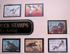 MARYLAND DUCK STAMPS  1st 30 Yrs  All Artist Signed (ESP#123)