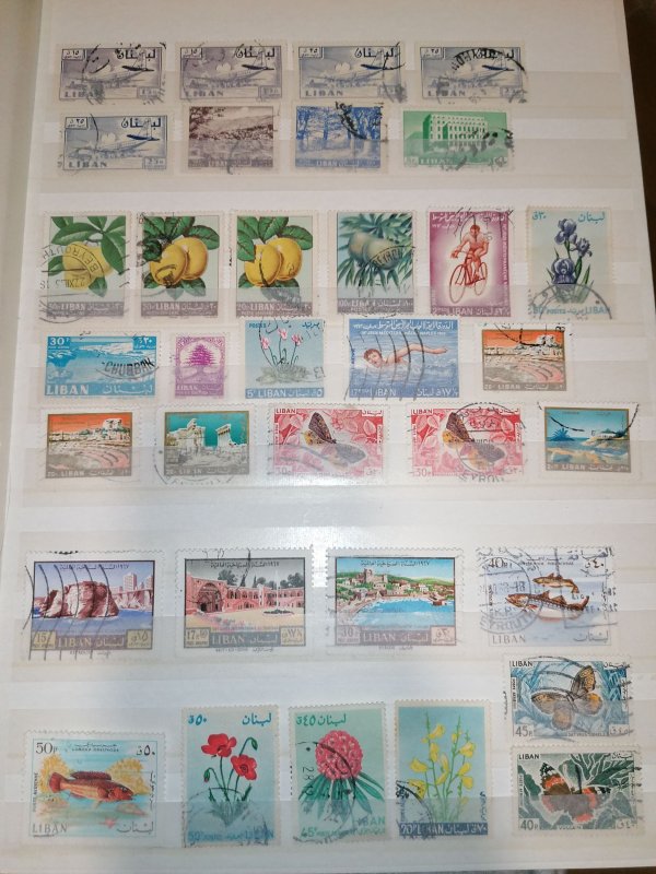 Middle East colection in album