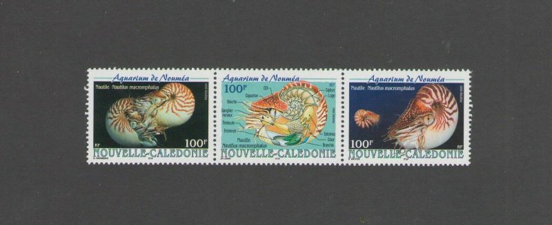 NEW CALEDONIA:  Sc.872 /***Beautiful MARINE LIFE**/ Strip of 3 / MNH 