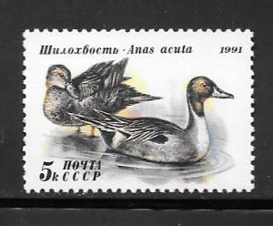 Russia  #6009 MNH Single