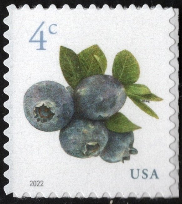 SC#5652 4¢ Blueberries Sheet Single (2022) SA