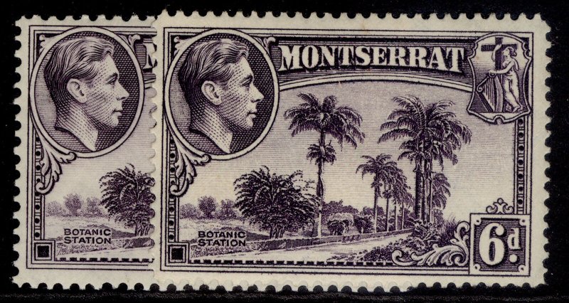 MONTSERRAT GVI SG107 + 107a, 6d PERF VARIETIES, M MINT. Cat £29. 