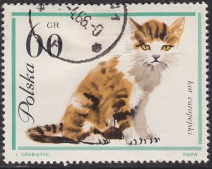 Poland 1219 European House Cat 1964