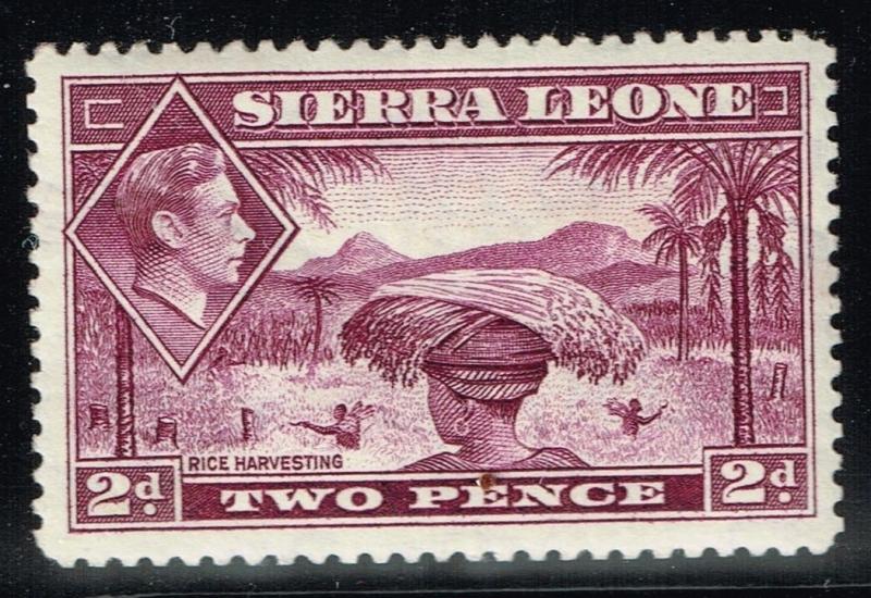 Sierra Leone SG# 191 - Mint Hinged  -  Lot 122115