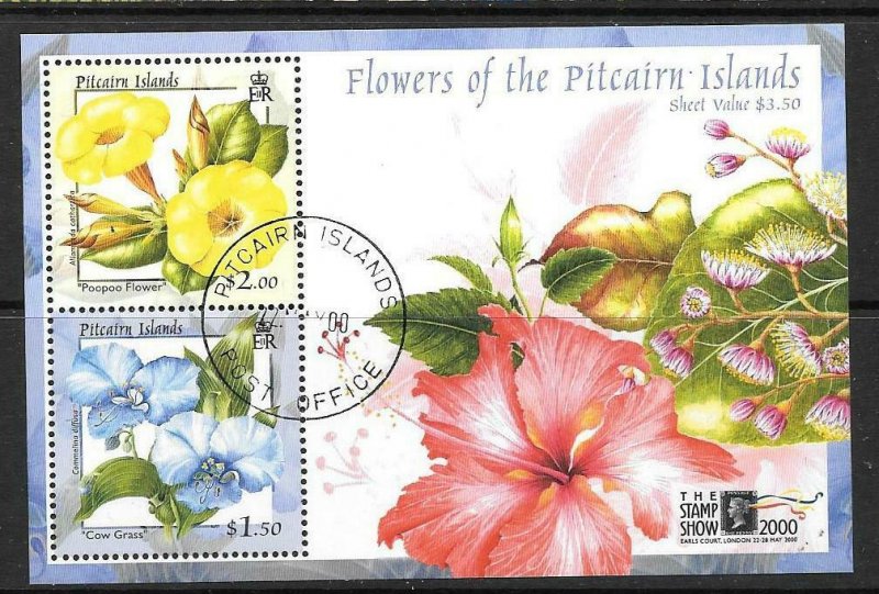 PITCAIRN ISLANDS SGMS576 2000 STAMP SHOW 2000 FINE USED