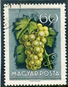 Hungary FRUIT GRAPE Stamp Perforated Fine used