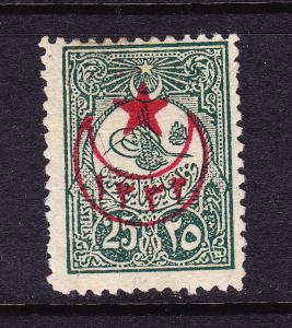 TURKEY  1915  25pi  GREEN OVPT   MLH  Sc 296