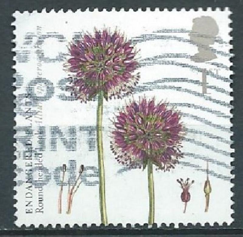 GROSSBRITANNIEN GRANDE BRETAGNE GB  2009 ENDANGERED PLANTS: ROUND HEADED LEEK...