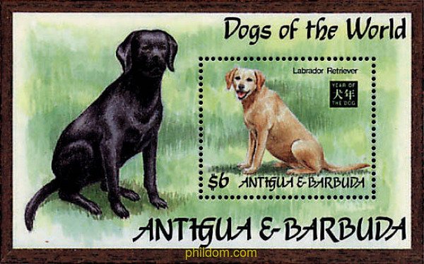 722290 MNH ANTIGUA Y BARBUDA 1994 PERROS DE RAZA