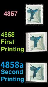 US 4857 4858 4858a Hummingbird 34c 3 stamps MNH 2014 first second printing