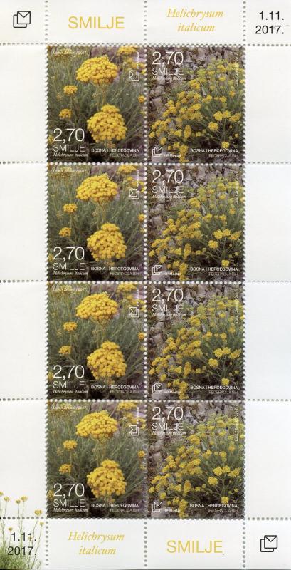 Bosnia & Herzegovina 2017 MNH Flora Helychrisum 8v M/S Plants Flowers Stamps 