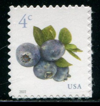 5652 US 4c Blueberries SA, MNH