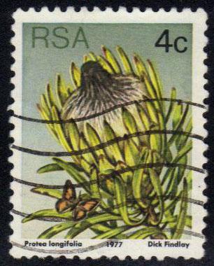 South Africa **U-Pick** Stamp Stop Box #103 Item P