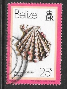 Belize 479: 25c Knobby Scallop (Chlamys imbricata), used, VF