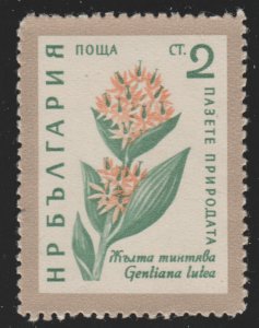 Bulgaria 1107 Yellow Gentian 1960