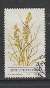 SC82 Bophuthatswana 1981 Grasses used