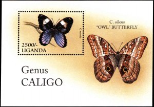 Uganda #1424-1426, Complete Set(3), 1996, Butterflies, Never Hinged