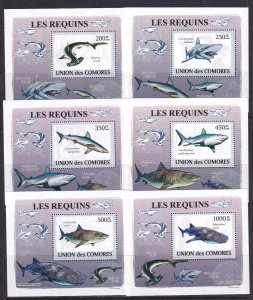 Comoros 2009 Fish Sharks 6 S/Sheets Deluxe Edition MNH