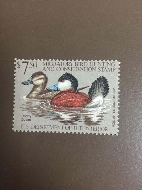 US RW48 Federal Duck Stamp - mint never hinged - very nice 1981 stamp 