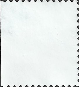 # 3295 USED RASPBERRIES