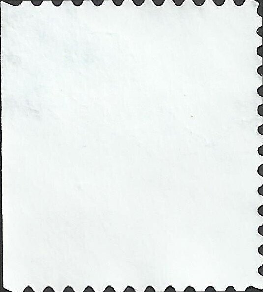 # 3295 USED RASPBERRIES