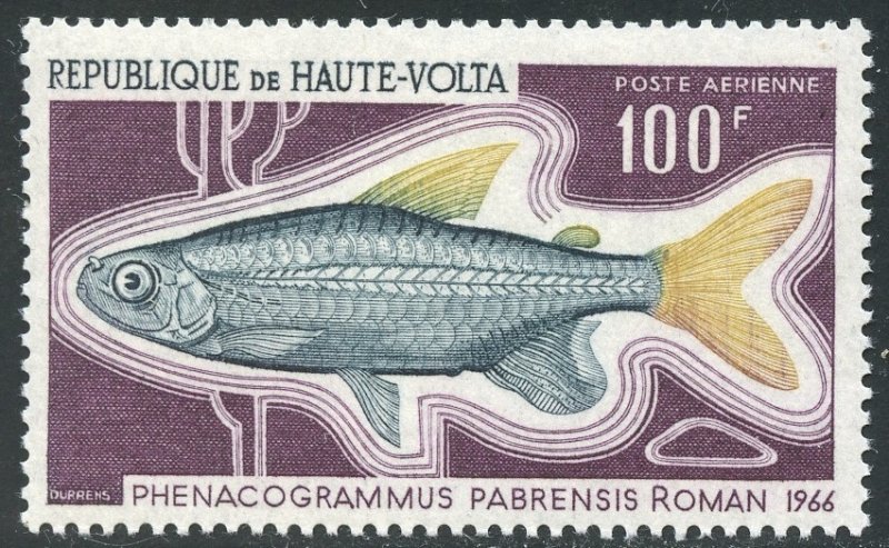 Burkina Faso Scott C66 MF-VFNHOG - 1969 Fish Type - SCV $2.50
