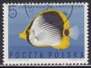 Poland 1492 Striped Butterfly Fish 1967