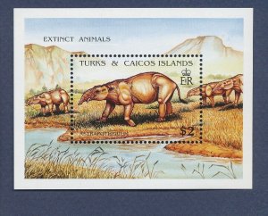 TURKS & CAICOS - Scott 912 - MNH S/S - Dinosaur, Extinct Animals - 1991