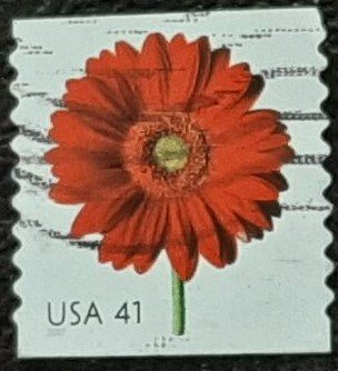 US Scott # 4169: used 41c Flowers from 2007; VF centering