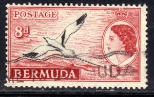 Bermuda 1953 - 62 QE2 8d White tailed Tropic bird Used SG 143a (M1338 )