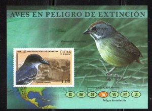 CUBA Sc# 6032  ENDANGERED protected BIRDS  Souvenir Sheet  2018  MNH