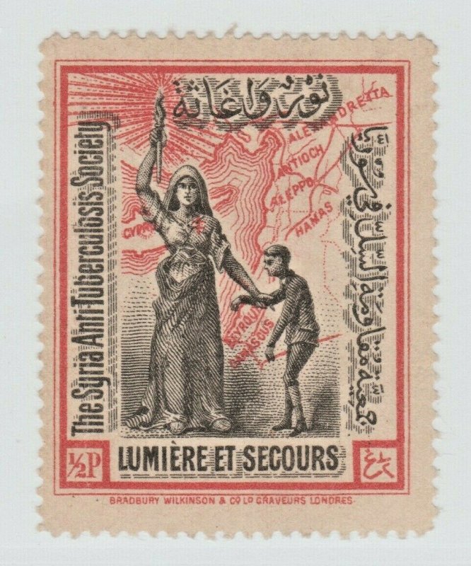 Syria Cinderella revenue fiscal stamp 9-14-21- extra nice - no gum- large format