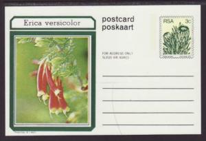 South Africa Flower  Postal Card Unused 