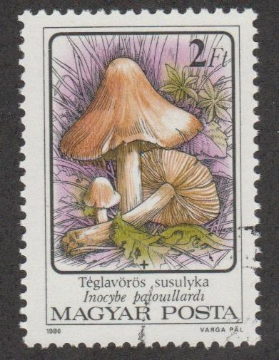 3047 Mushroom
