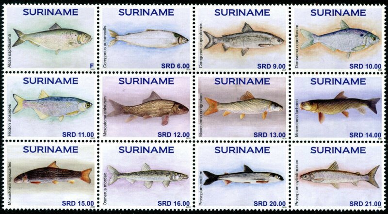 HERRICKSTAMP NEW ISSUES SURINAM Fish 2020 Block of 12 Different