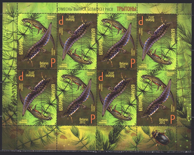 Belarus. 2012. small sheet 922-23, bl 94. Newts, fauna. MNH.