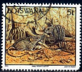 Striped Mouse, Wild Animal, Botswana stamp SC#521 used