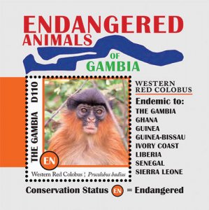 Gambia 2013 - Endangered Animals - Souvenir stamp sheet - Scott #3488 - MNH
